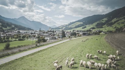 Parkhotel Bellevue | Südtirol | Hochpustertal